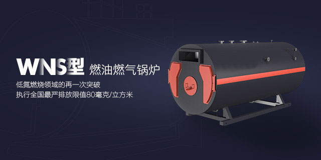 天然气锅炉